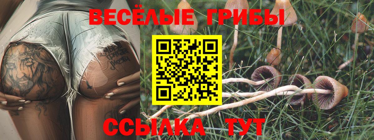 закладки  Псилоцибиновые грибы Psilocybine cubensis  Вход с VPN  Родники 