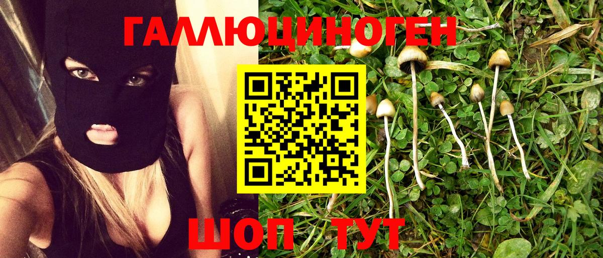 ГАШ  Родники  Вход с VPN  Меф кристаллы  Амфетамин   Мефедрон  Бошки Шишки 